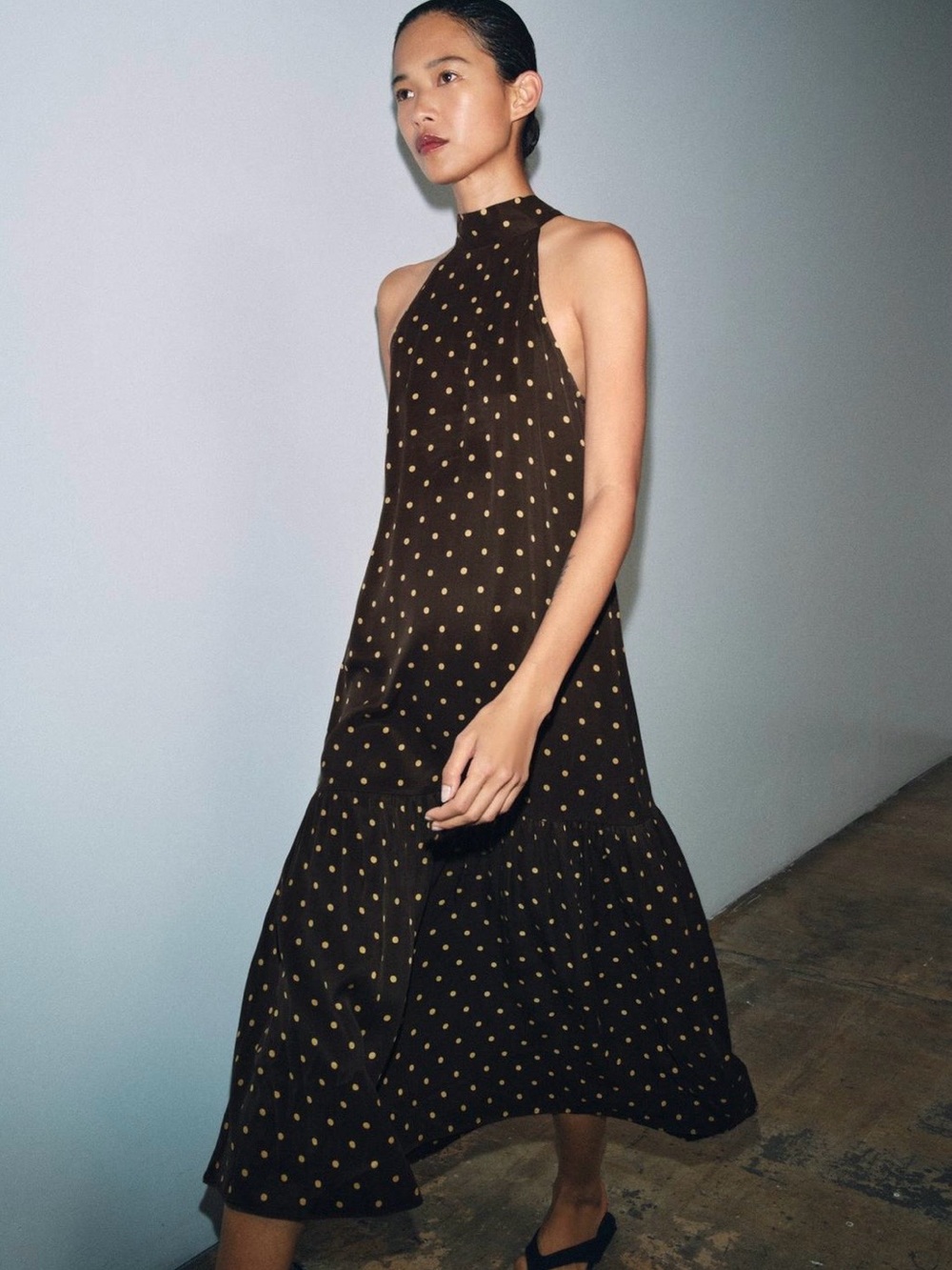 Zara Brown Maxi Dress with Gold Polka Dots - Picture 4 of 6